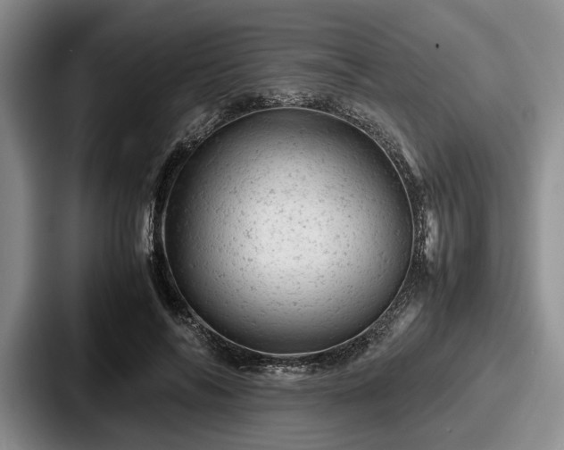 X0000087670694200705111158