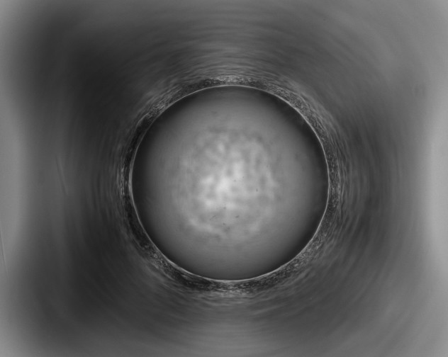 X0000087670696200705111158