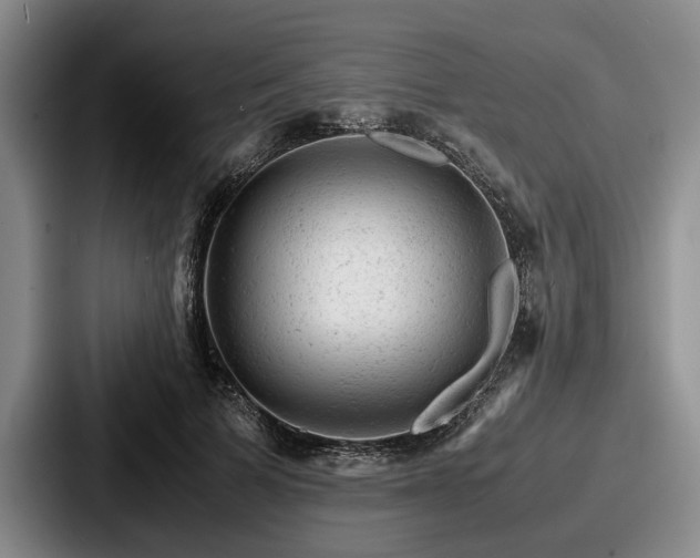 X0000087670697200705111158