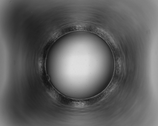 X0000087670698200705111158