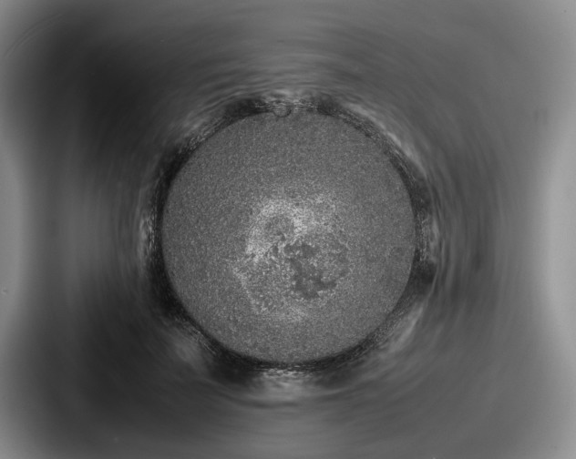 X0000087670699200705111158