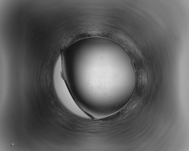 X0000087670700200705111158