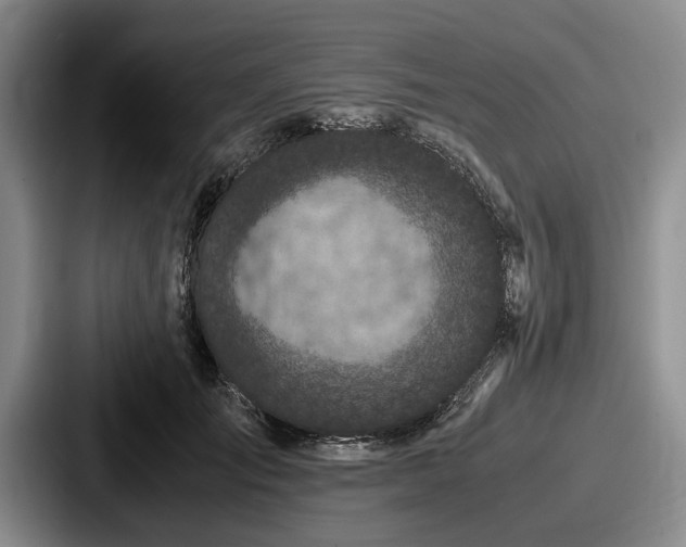 X0000087670701200705111158