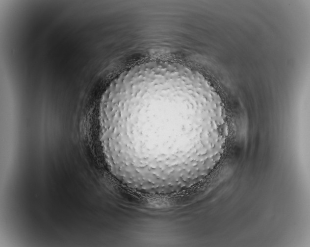 X0000087670705200705111157