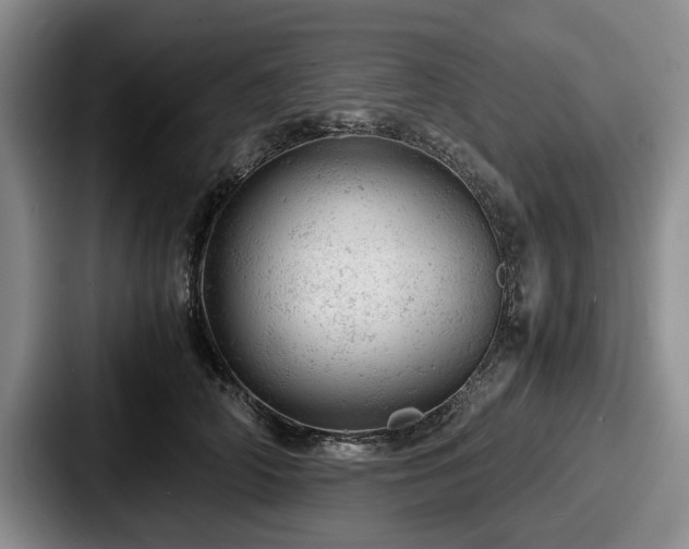 X0000087670706200705111157