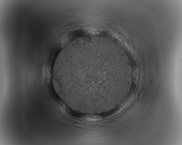 X0000087670707200705111157