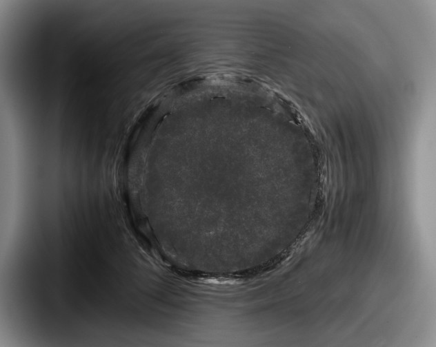 X0000087670708200705111157