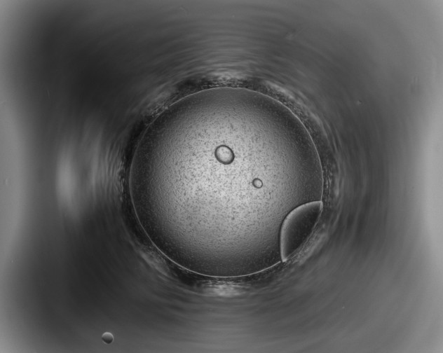 X0000087670710200705111157