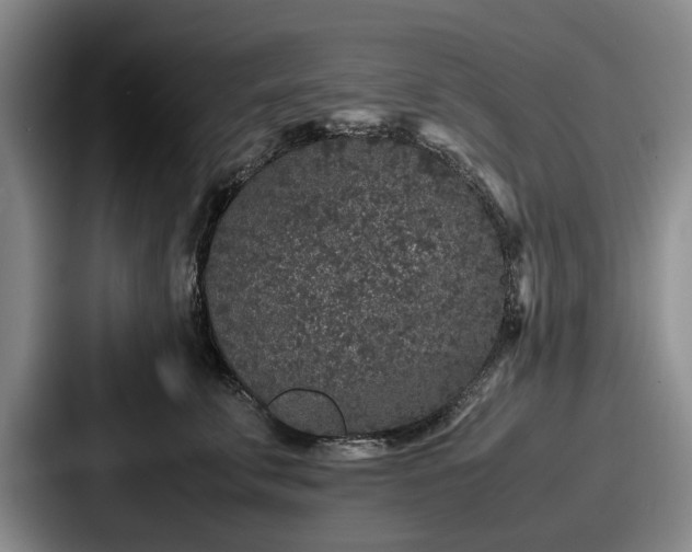 X0000087670711200705111157