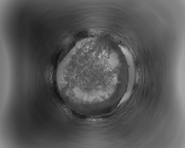 X0000087670712200705111157