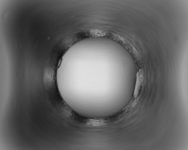 X0000087670713200705111157