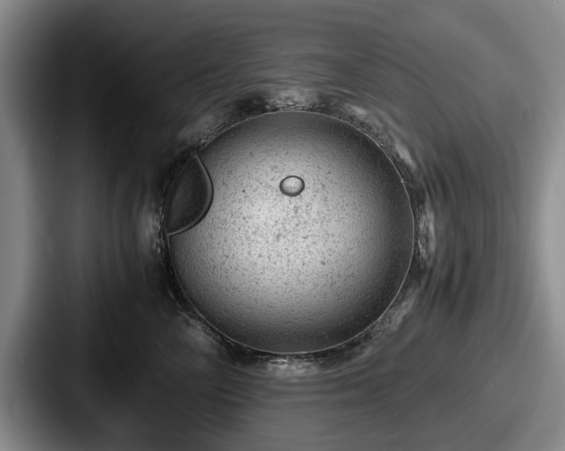 X0000087670714200705111157