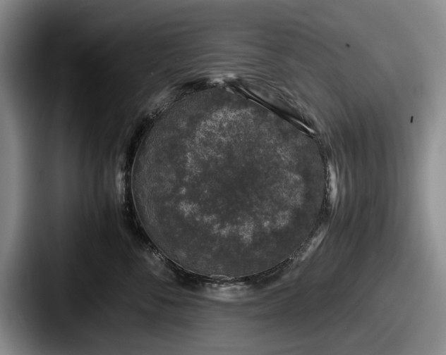 X0000087670716200705111157