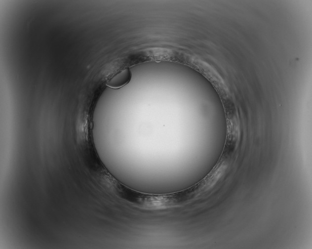 X0000087670717200705111157