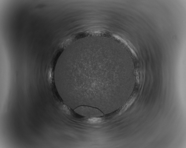 X0000087670718200705111157