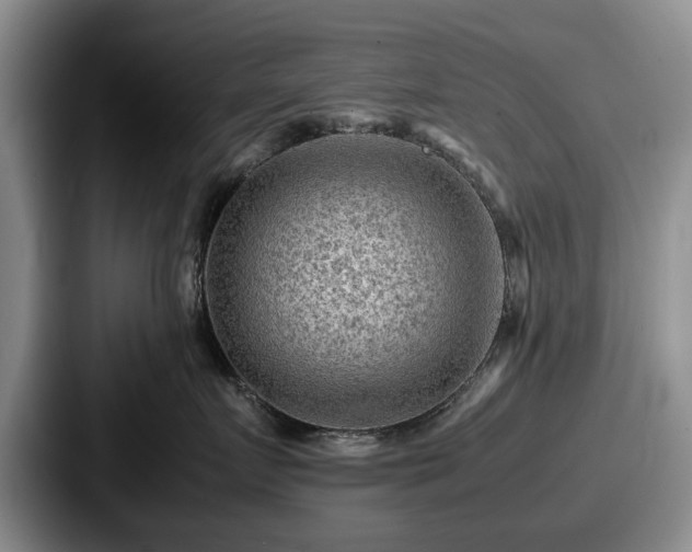 X0000087670719200705111157