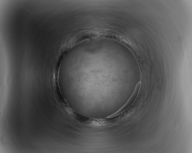 X0000087670720200705111157