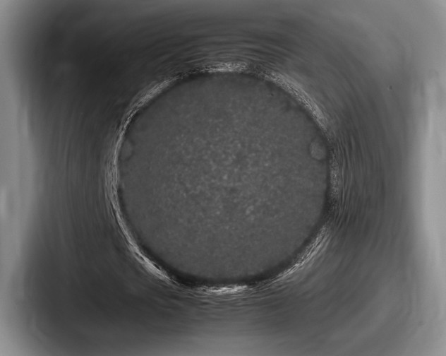 X0000087670721200705111157