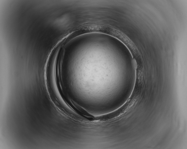 X0000087670722200705111157