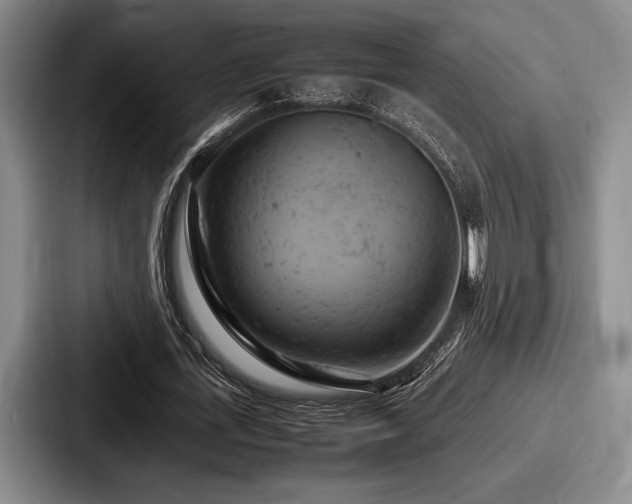 X0000087670723200705111157