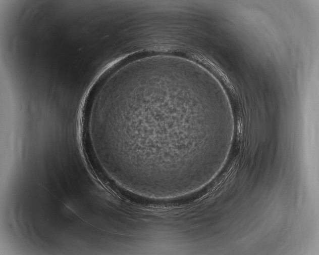 X0000087670724200705111157