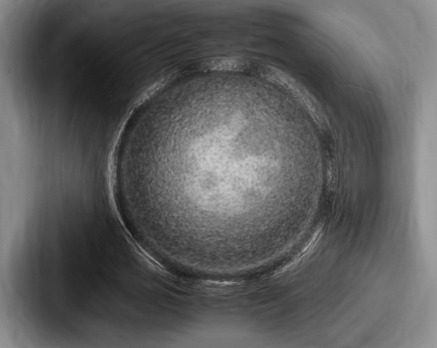 X0000087670725200705111157