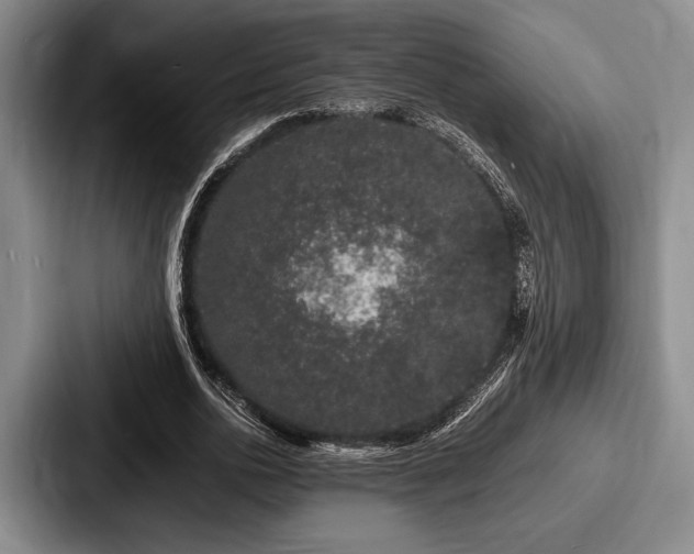 X0000087670726200705111157