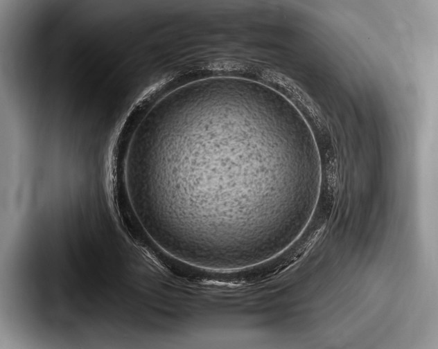 X0000087670727200705111157