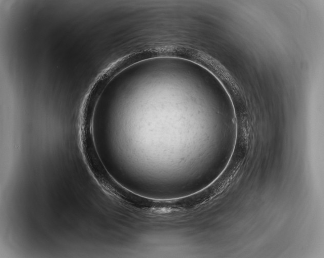 X0000087670728200705111157