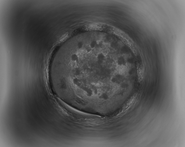 X0000087670729200705111157