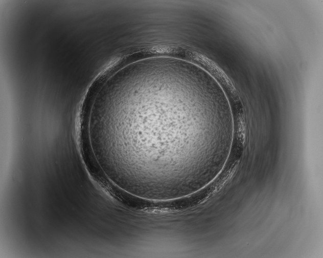 X0000087670730200705111157