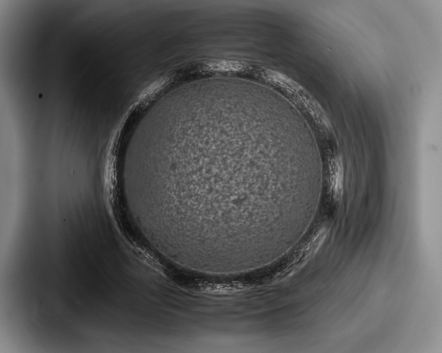 X0000087670731200705111157