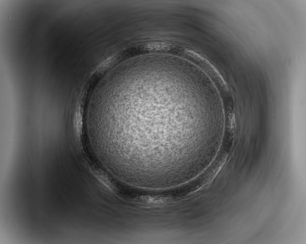 X0000087670733200705111157