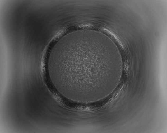 X0000087670735200705111157