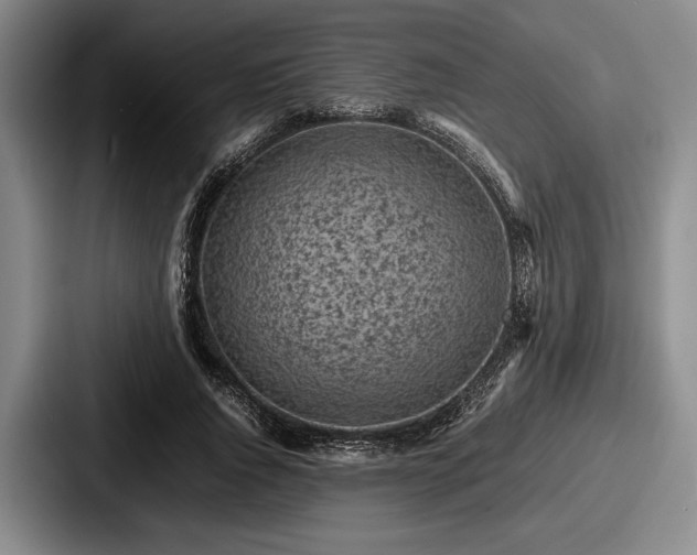 X0000087670736200705111157