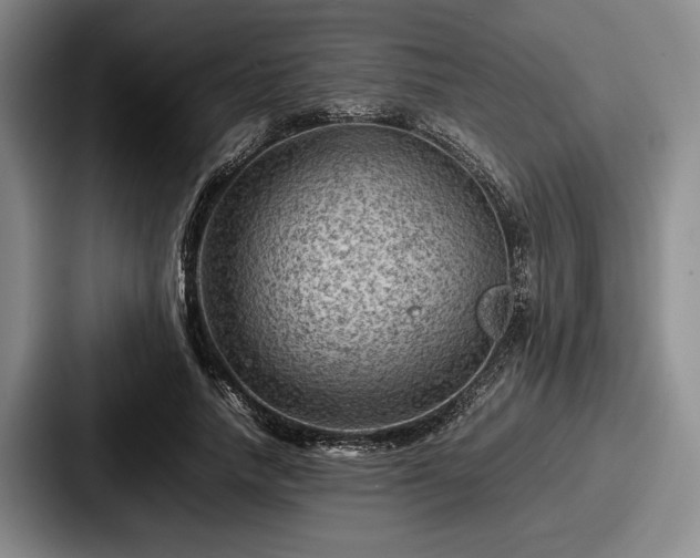 X0000087670738200705111157