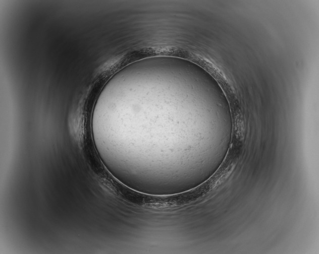 X0000087670740200705111157