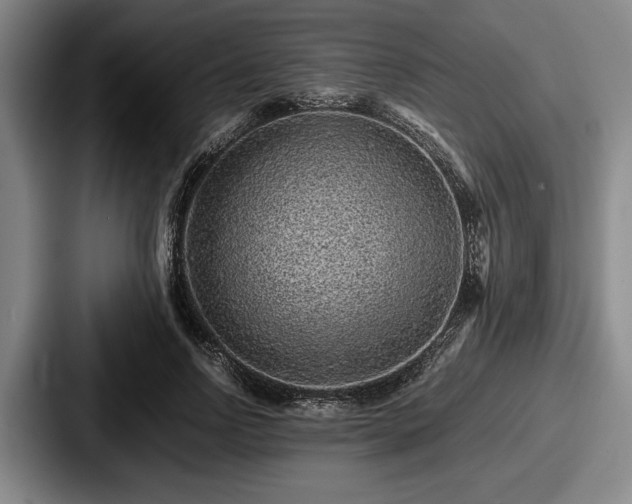 X0000087670742200705111157