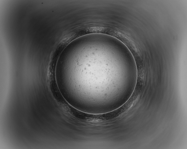 X0000087670743200705111157