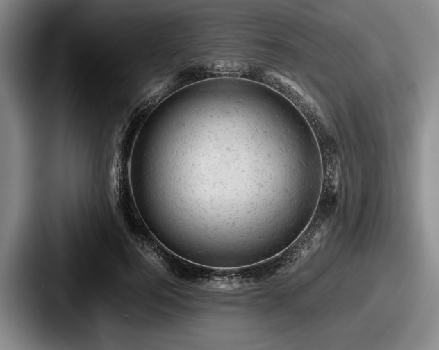 X0000087670744200705111157