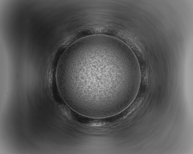 X0000087670746200705111157