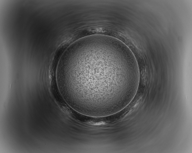 X0000087670747200705111157