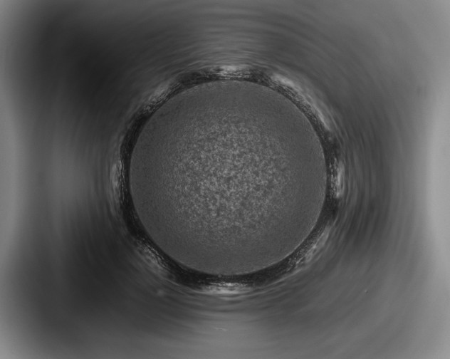 X0000087670748200705111157