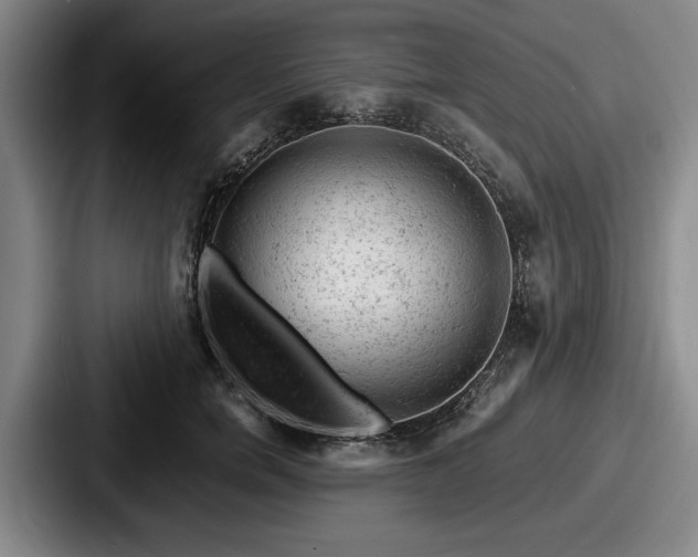 X0000087670750200705111157