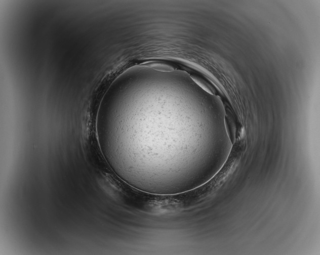 X0000087670752200705111157