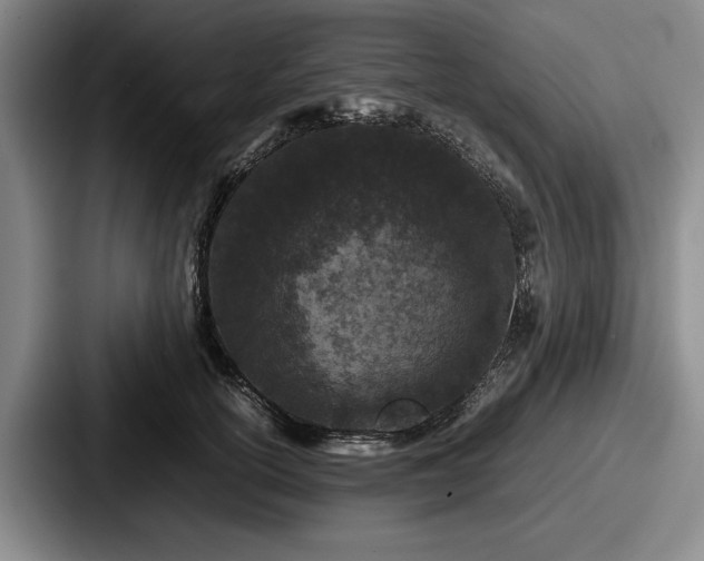 X0000087670754200705111157