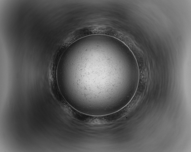 X0000087670755200705111157