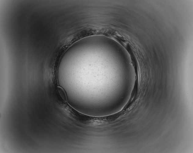 X0000087670756200705111157