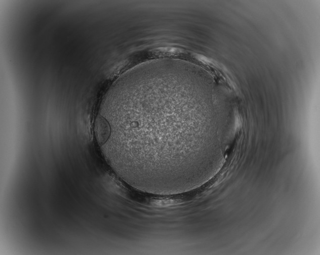 X0000087670759200705111157