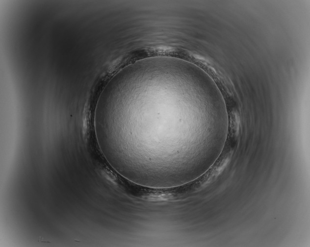 X0000087670760200705111157